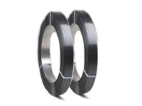  
 Flejes met�licos de hierro y acero, especialmente indicados para aplicaciones con altas exigencias  
 